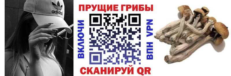 наркошоп  Нерехта  Псилоцибиновые грибы мухоморы 